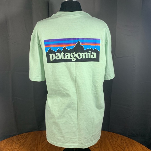 Patagonia Other - Patagonia logo pocket Responsibili-tee
